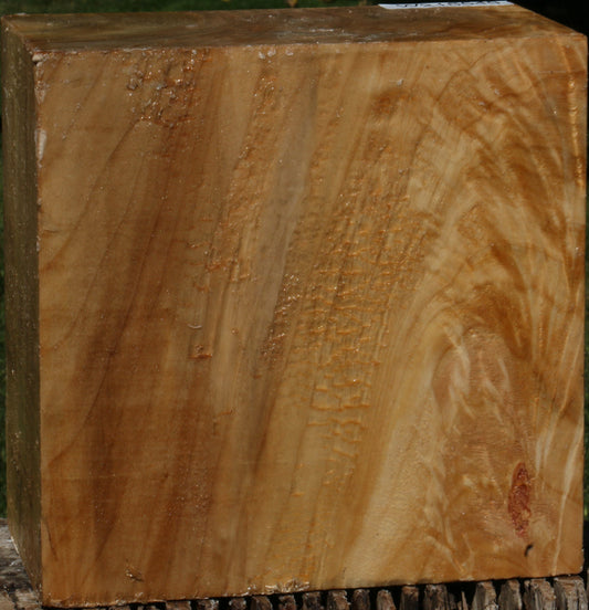 Figured Black Cottonwood Bowl Blank