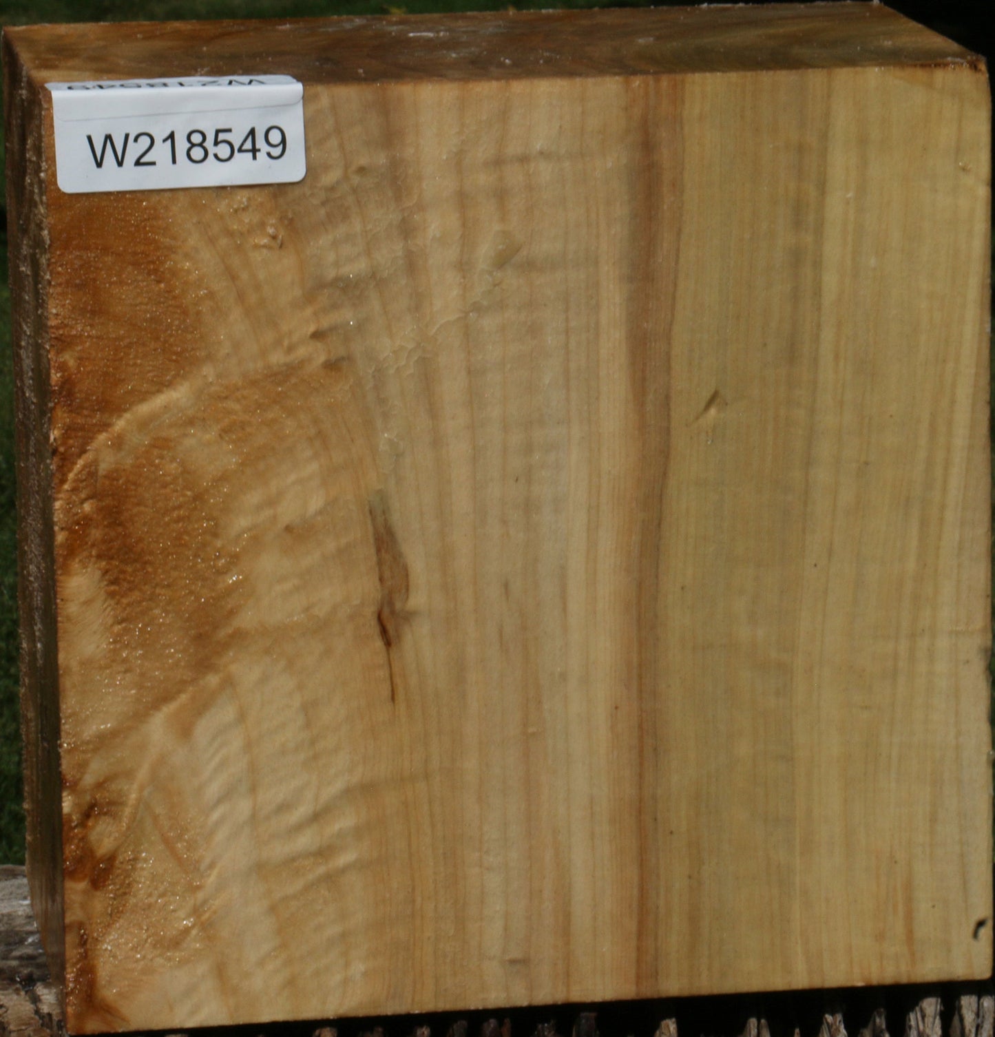 Figured Black Cottonwood Bowl Blank