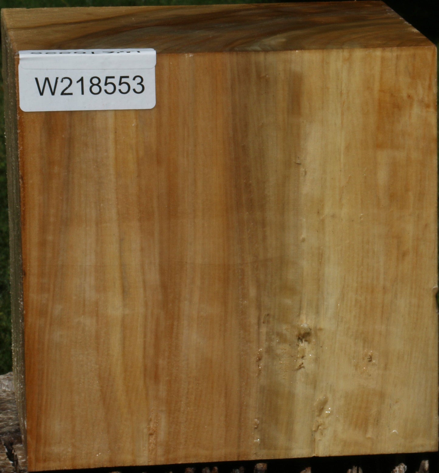 Black Cottonwood Bowl Blank