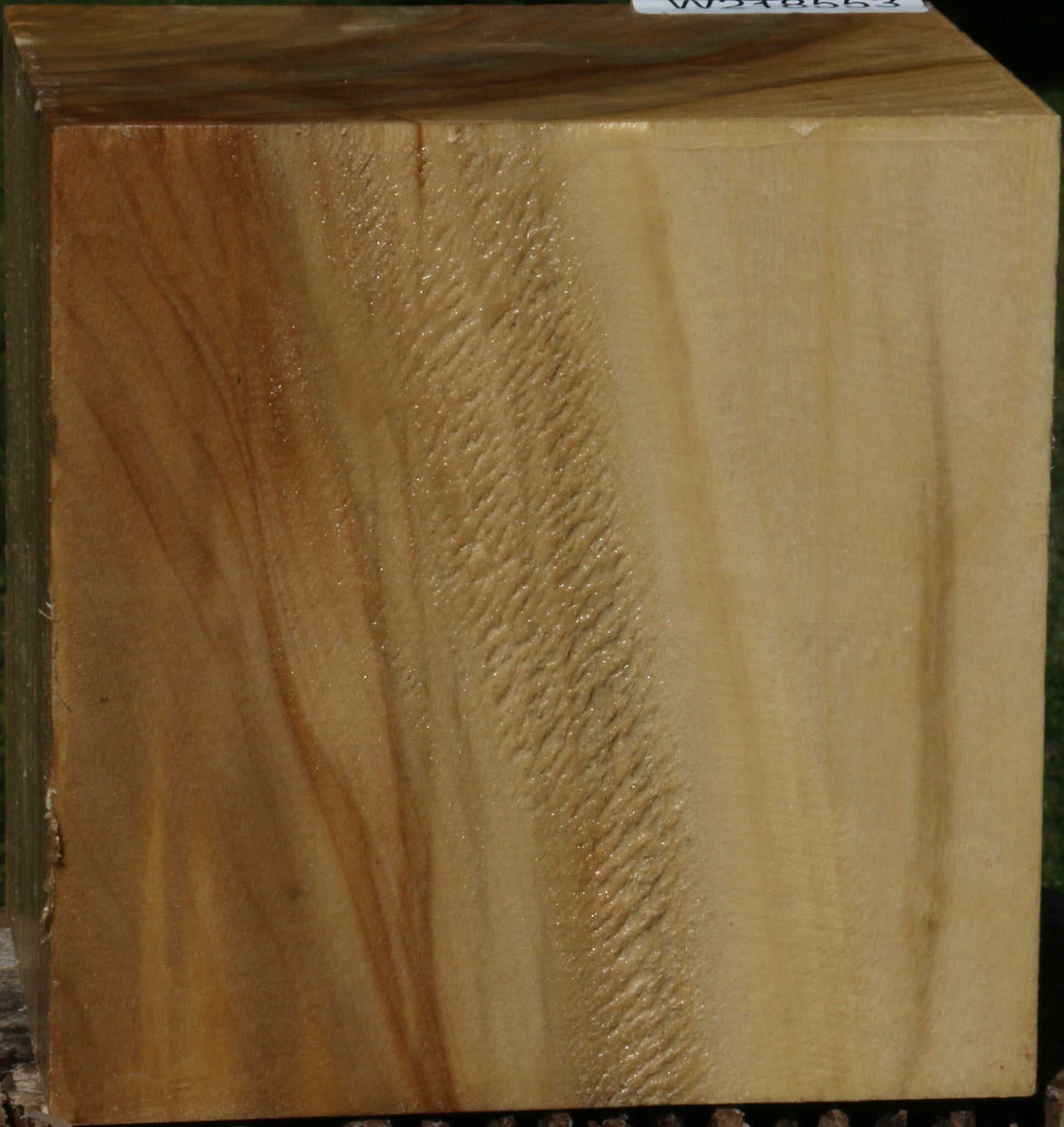 Black Cottonwood Bowl Blank