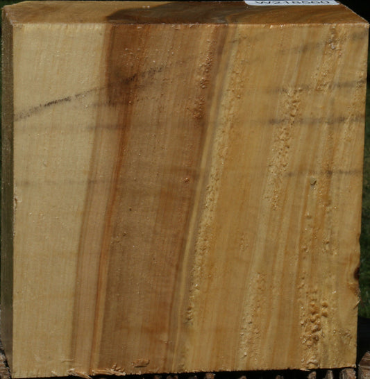 Black Cottonwood Bowl Blank