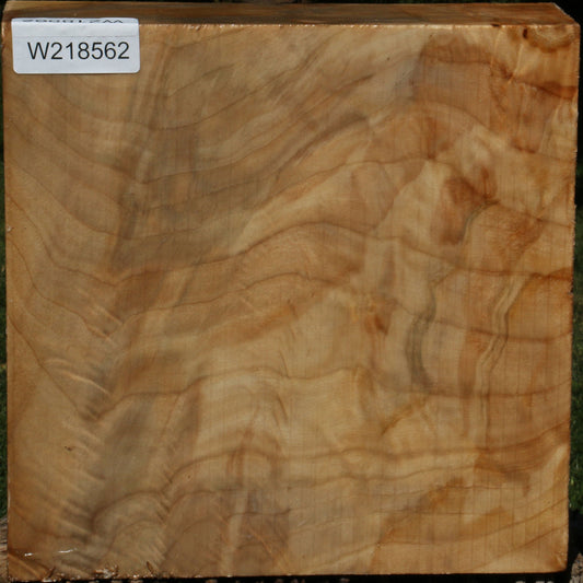 Extra Fancy Black Cottonwood Bowl Blank