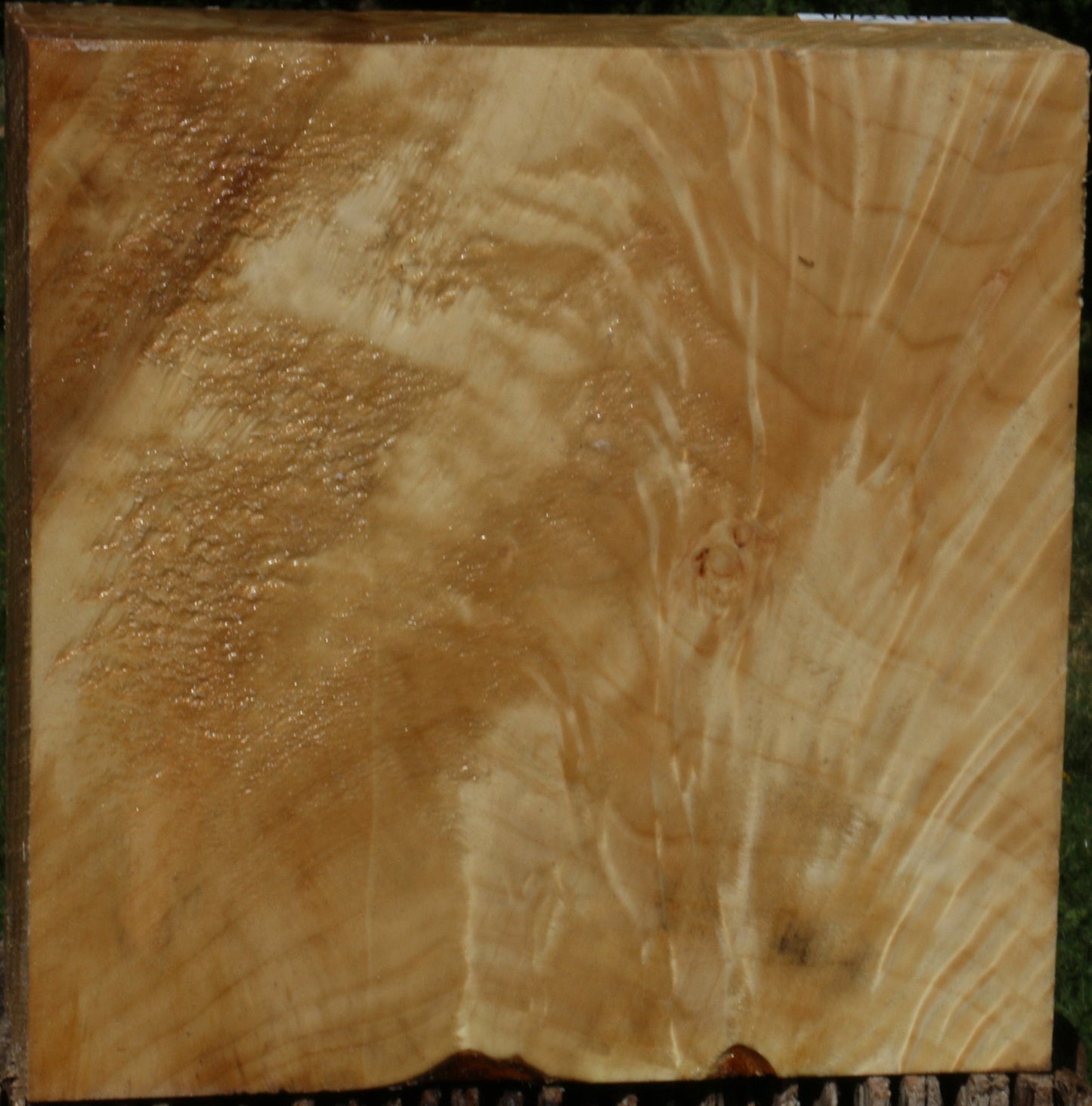 Extra Fancy Black Cottonwood Bowl Blank