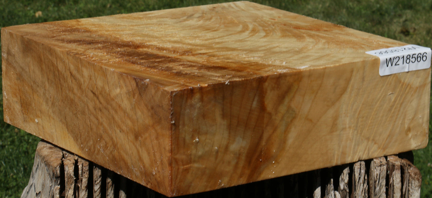 Extra Fancy Black Cottonwood Bowl Blank