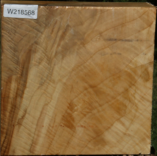 Extra Fancy Black Cottonwood Bowl Blank