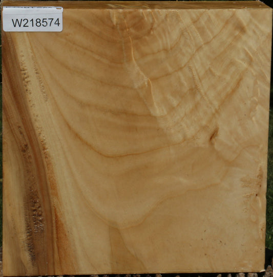 Figured Black Cottonwood Bowl Blank