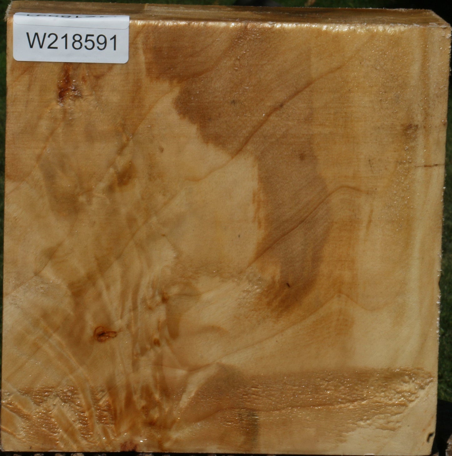 Figured Black Cottonwood Bowl Blank