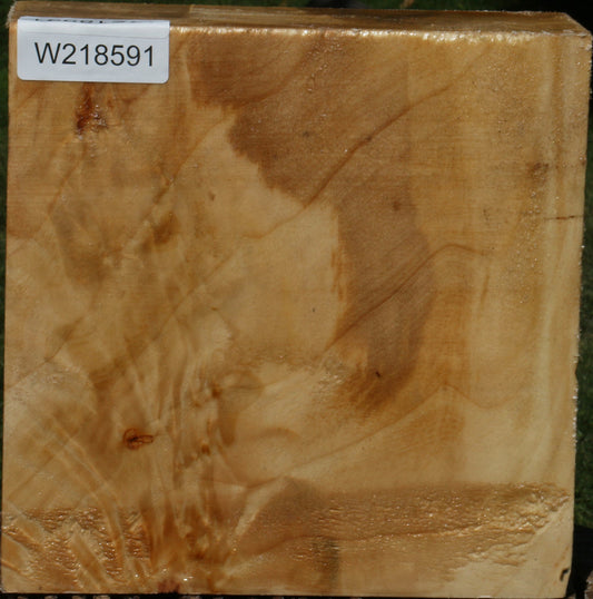 Figured Black Cottonwood Bowl Blank