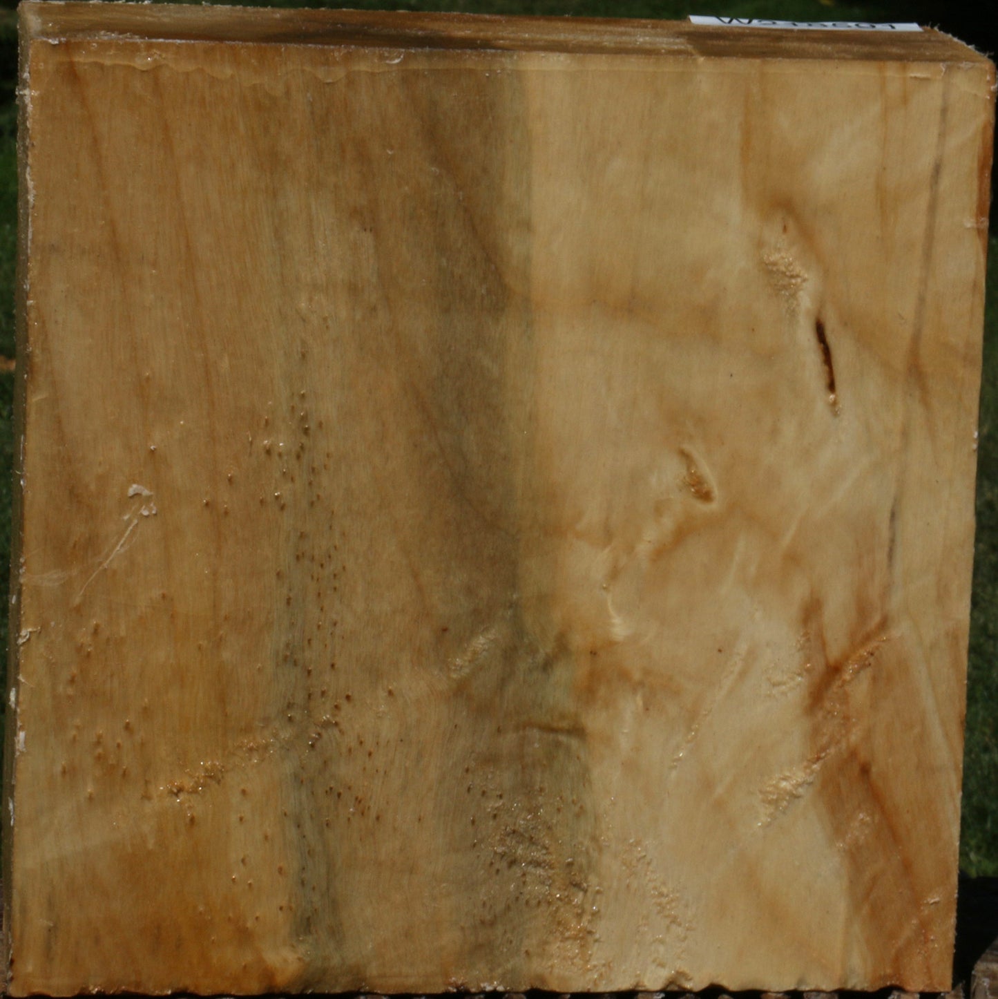 Figured Black Cottonwood Bowl Blank