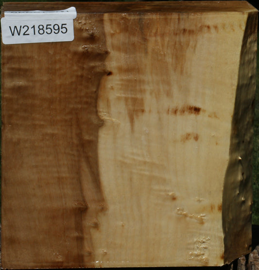 Figured Black Cottonwood Bowl Blank