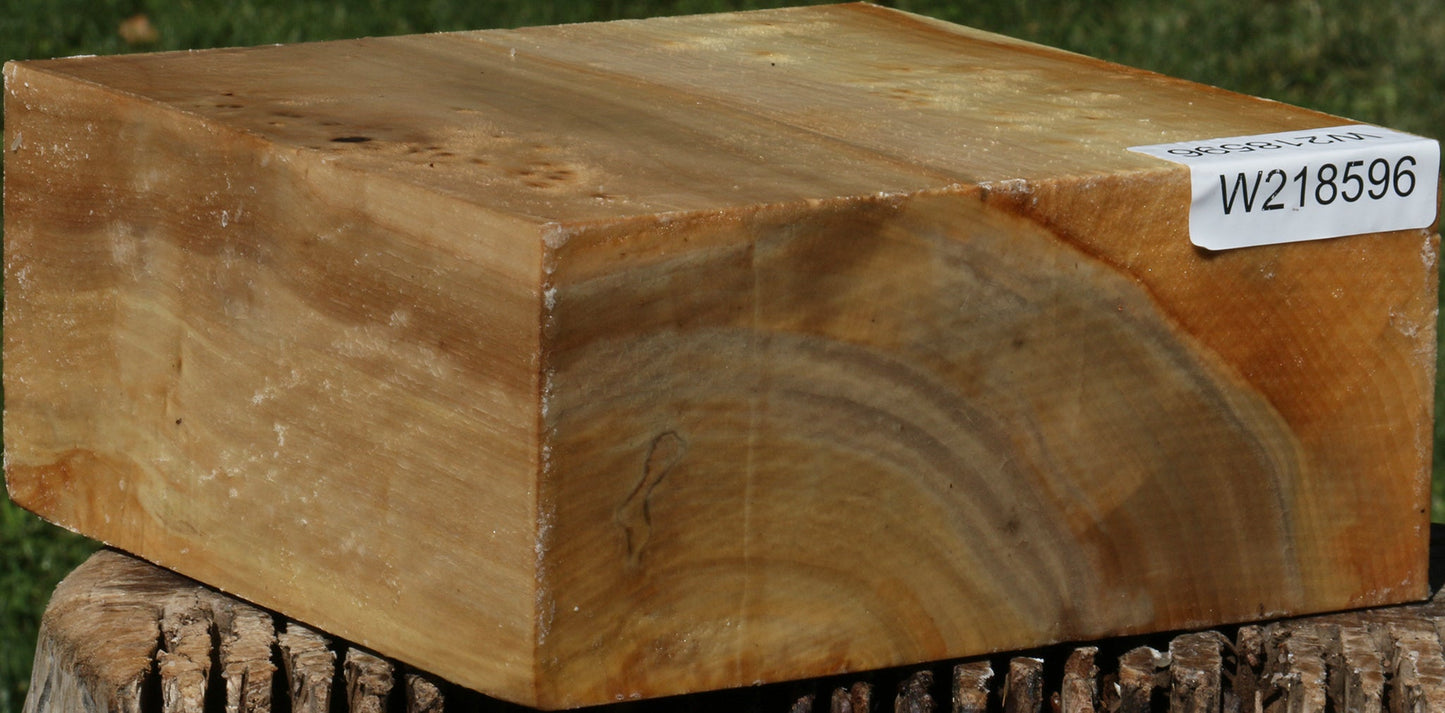 Figured Black Cottonwood Bowl Blank