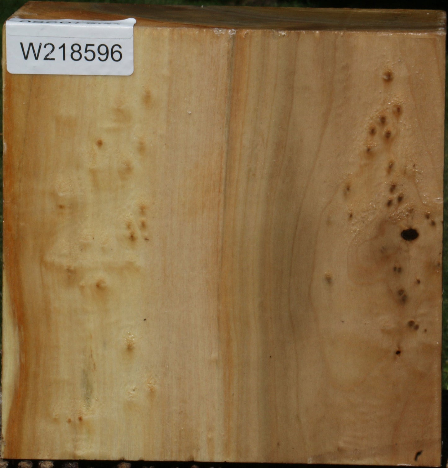 Figured Black Cottonwood Bowl Blank