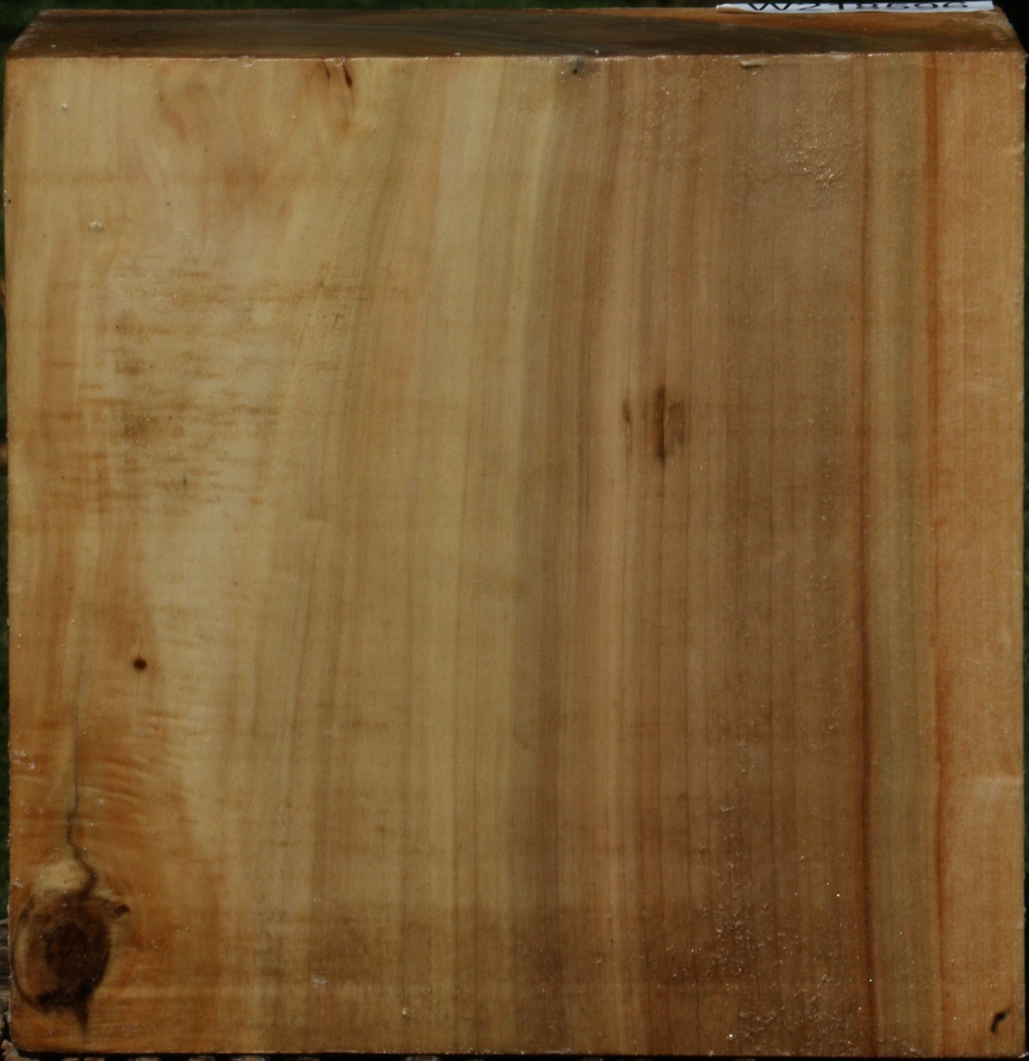 Figured Black Cottonwood Bowl Blank