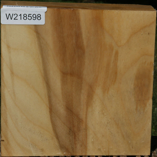 Black Cottonwood Bowl Blank