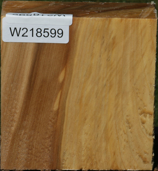 Black Cottonwood Bowl Blank