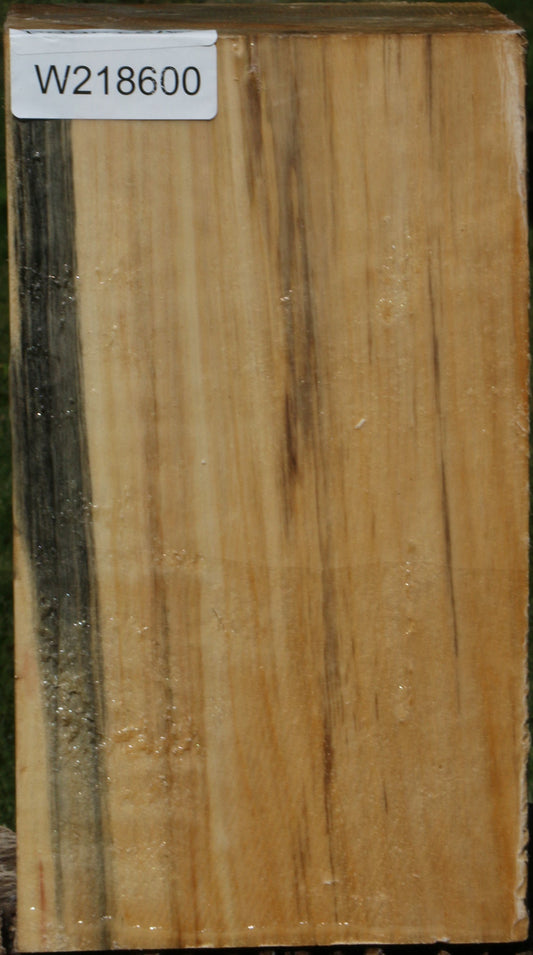 Black Cottonwood Vessel Blank