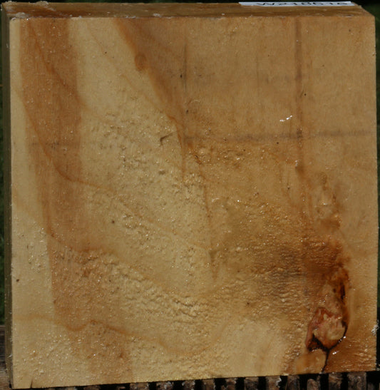 Black Cottonwood Bowl Blank