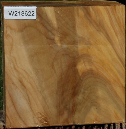 Figured Black Cottonwood Bowl Blank