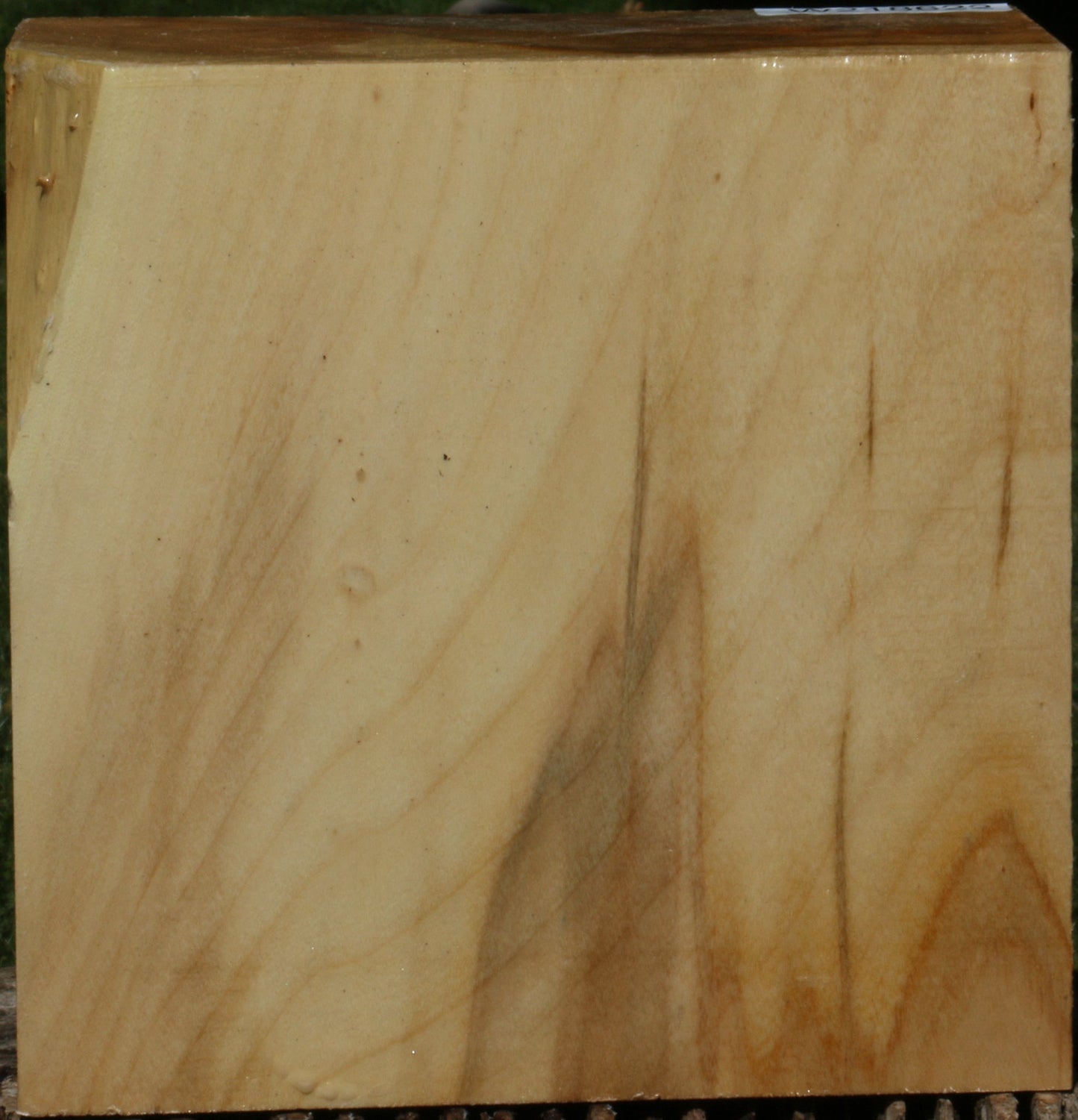 Figured Black Cottonwood Bowl Blank