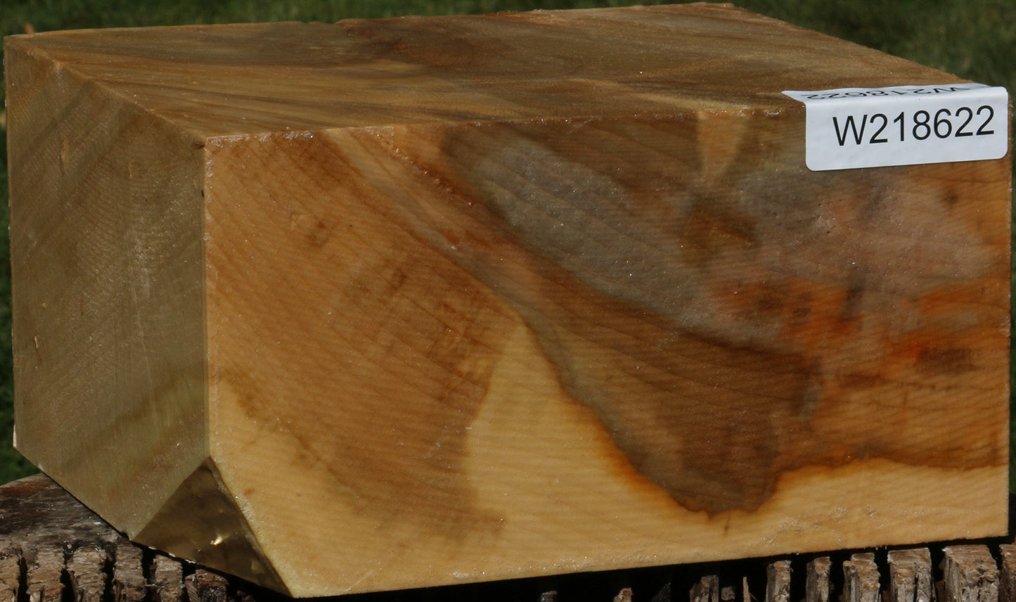 Figured Black Cottonwood Bowl Blank