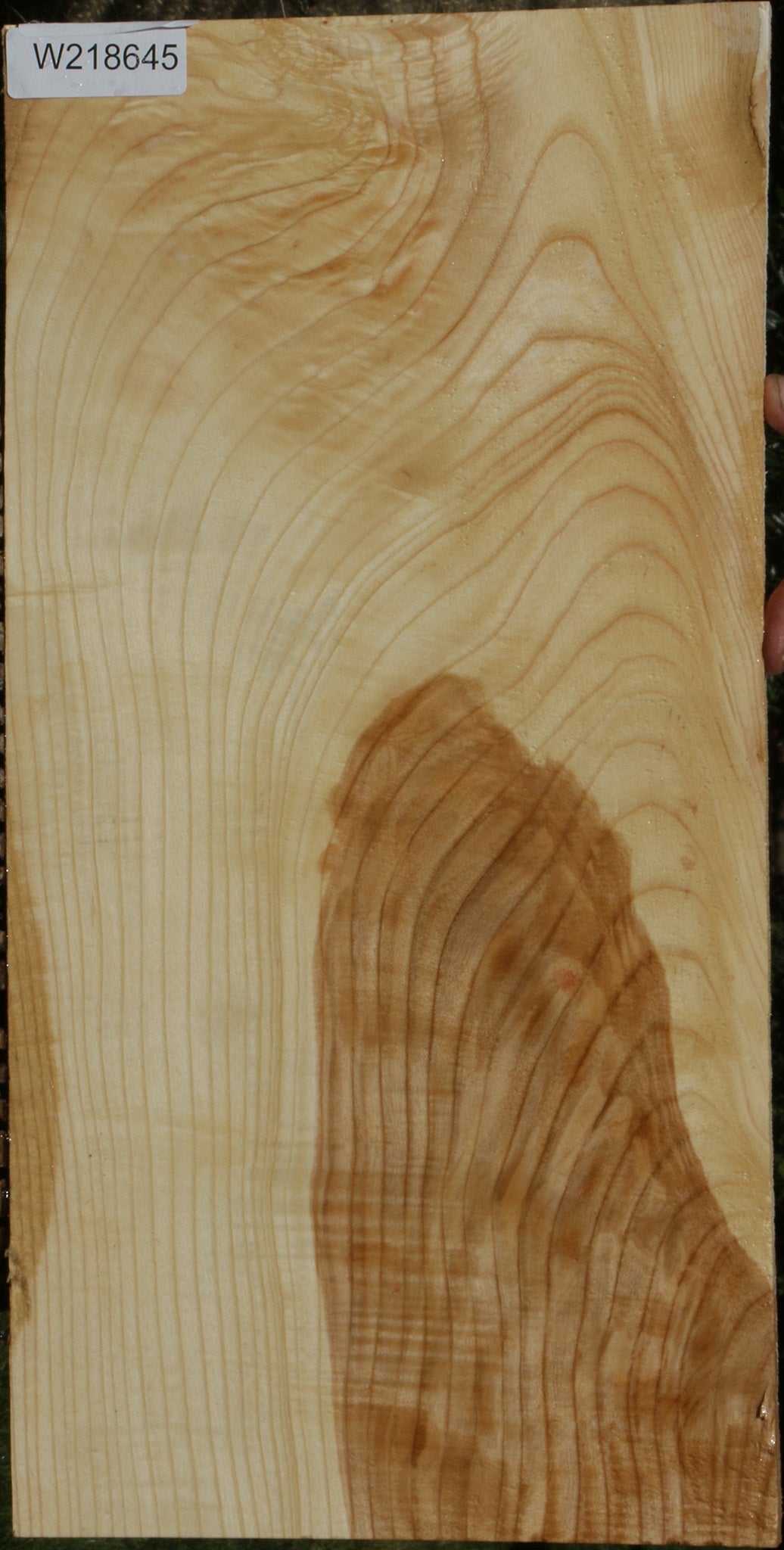 Extra Fancy Fiddleback French Ash Lumber