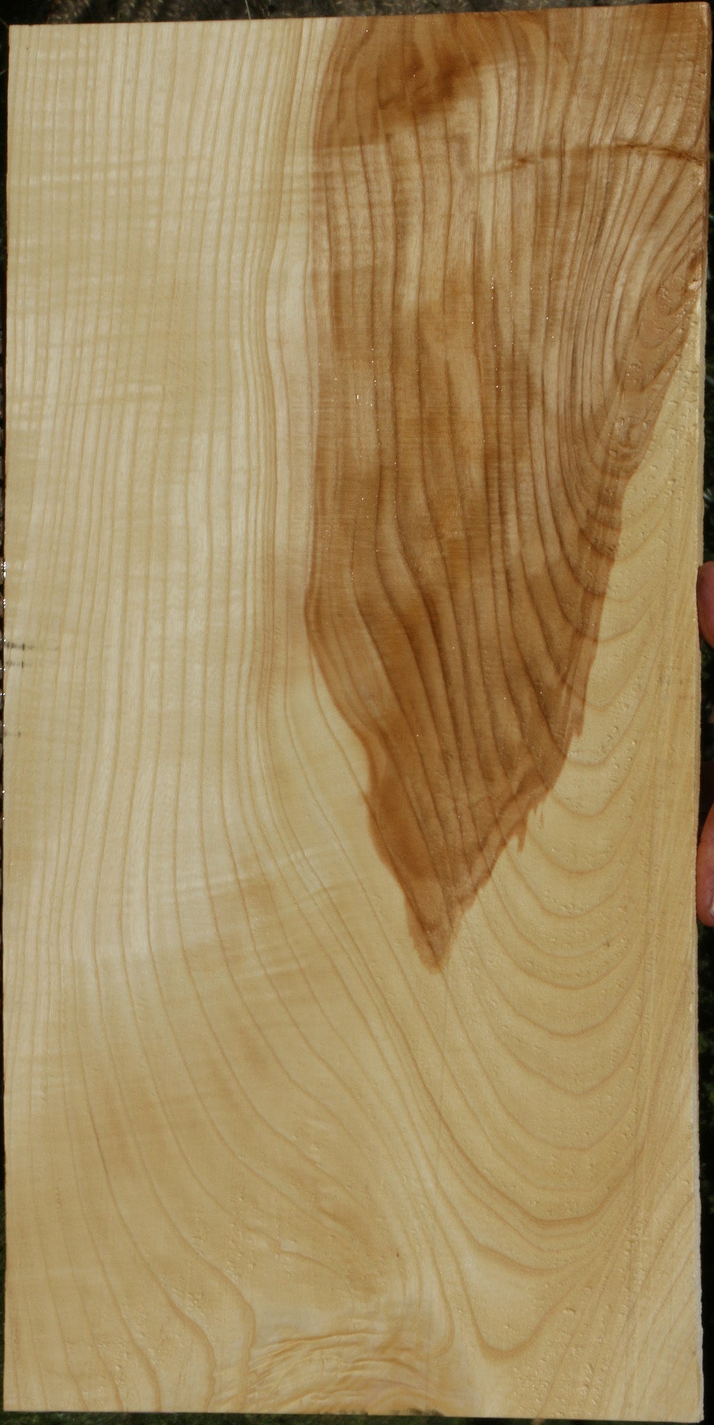 Extra Fancy Fiddleback French Ash Lumber