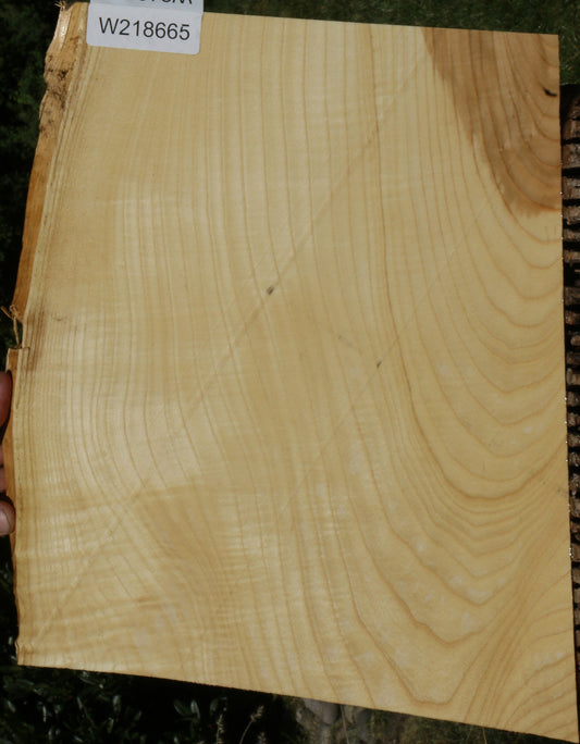 Extra Fancy Fiddleback French Ash Live Edge Lumber