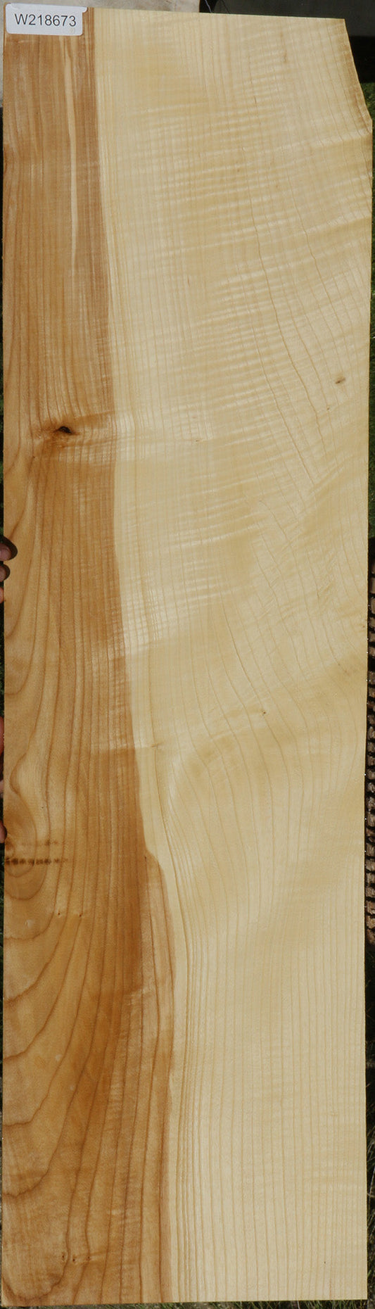 Extra Fancy Fiddleback French Ash Lumber
