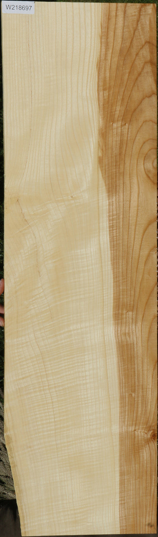 Extra Fancy Fiddleback French Ash Lumber
