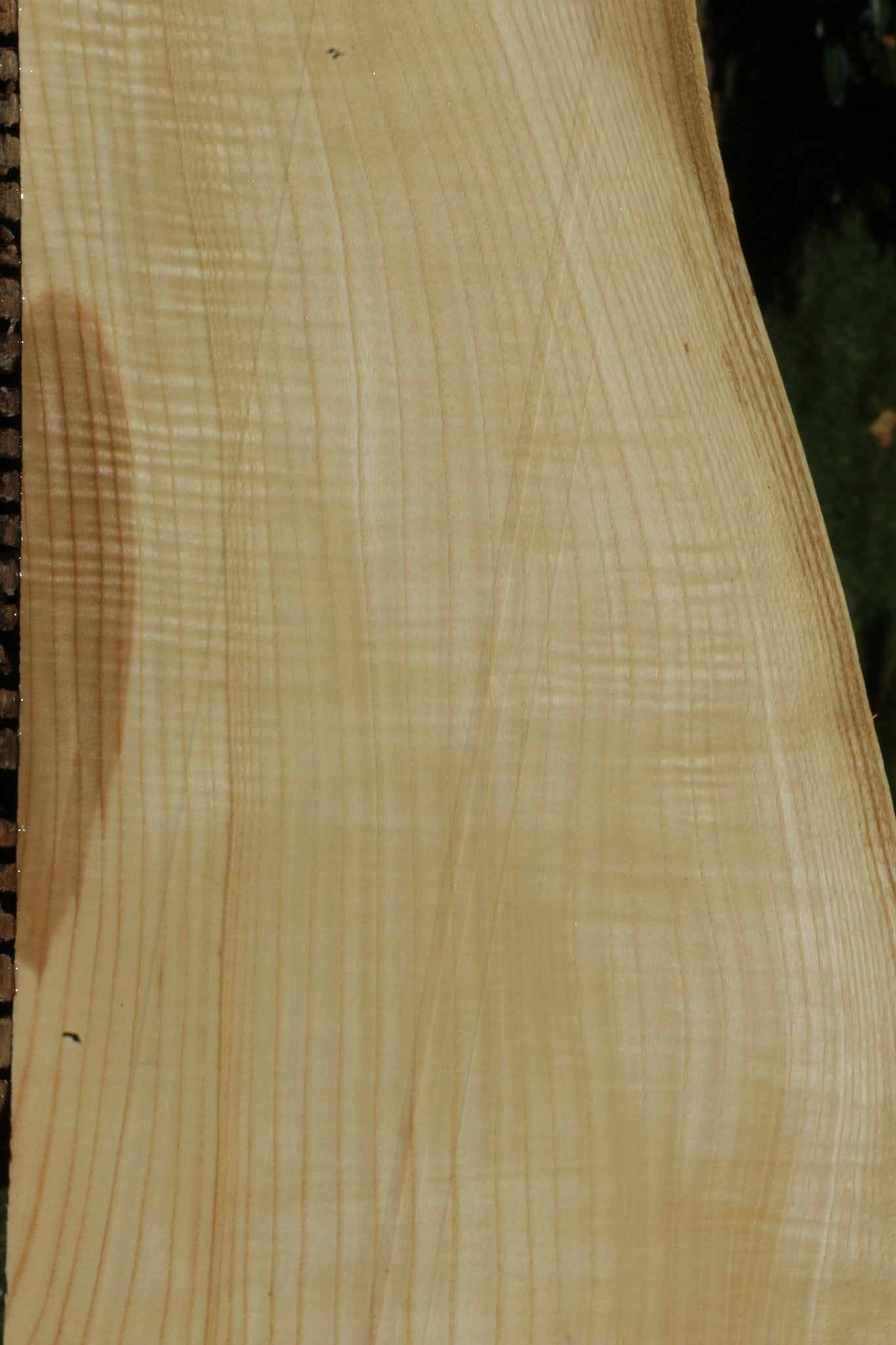 Extra Fancy Fiddleback French Ash Lumber