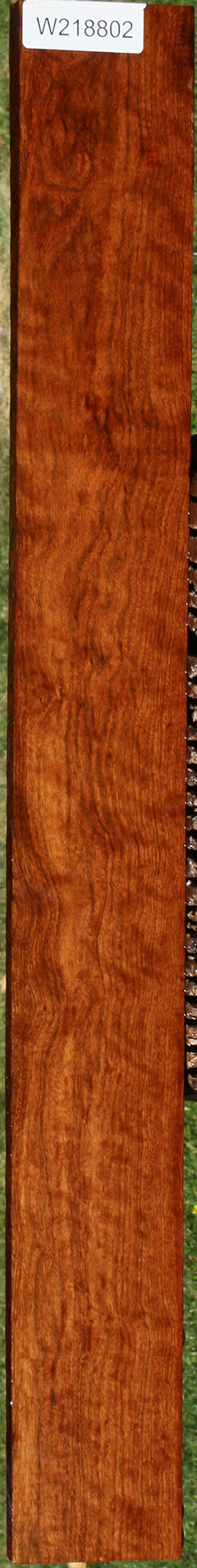 Extra Fancy Chechen Lumber