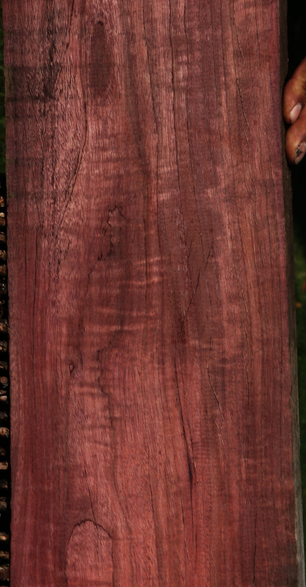 Fiddleback Purpleheart Lumber