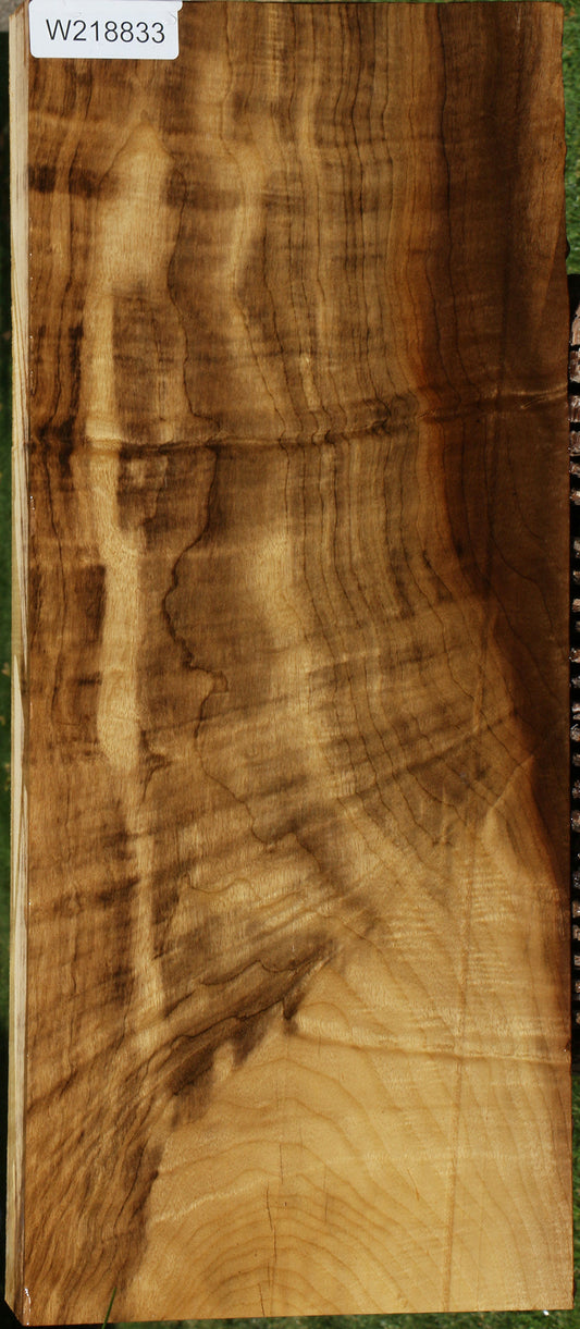 Fiddleback Gold Myrtle Lumber