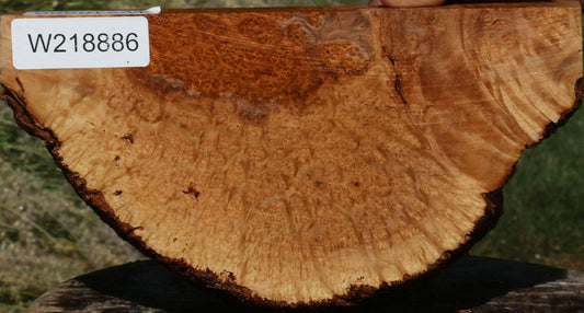Figured Rustic Kanista Burl Live Edge Lumber