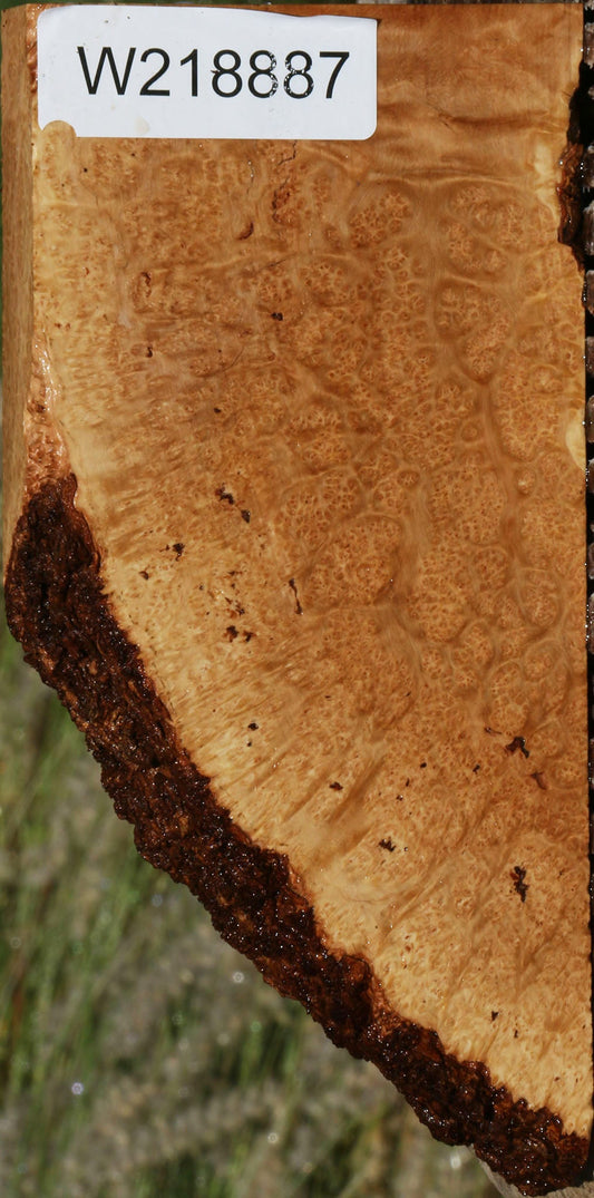 Figured Rustic Kanista Burl Live Edge Lumber