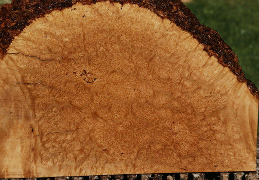 Figured Kanista Burl Live Edge Lumber