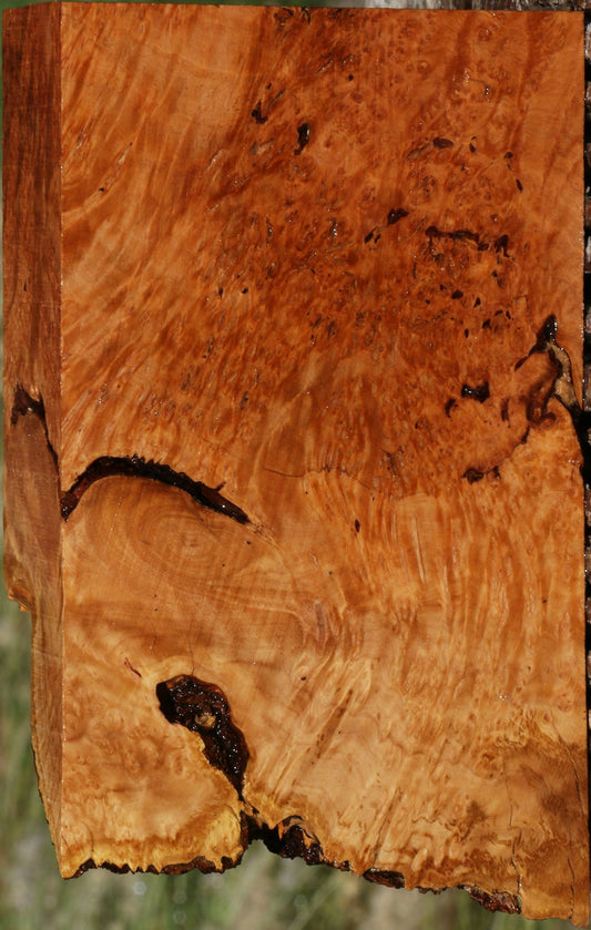 Figured Rustic Kanista Burl Live Edge Turning Blank