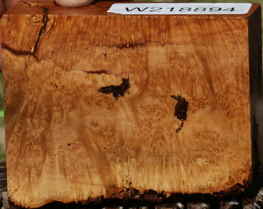 Kanista Burl Live Edge Lumber