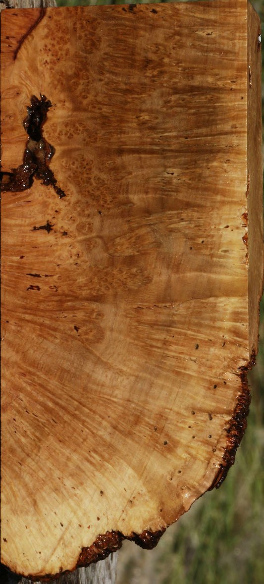 Figured Rustic Kanista Burl Live Edge Lumber