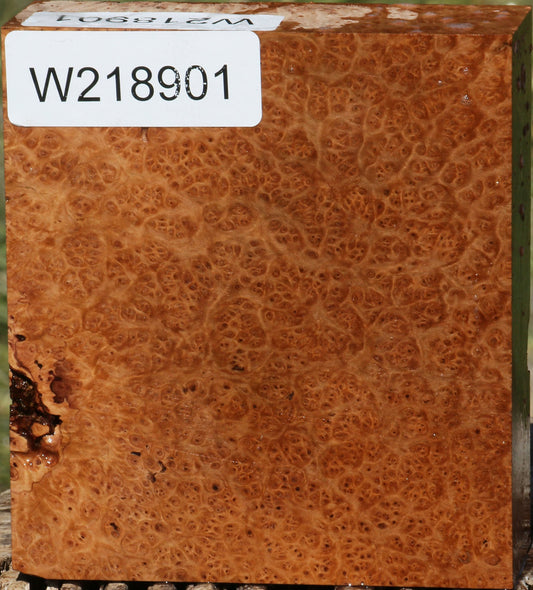 Rustic Kanista Burl Bowl Blank