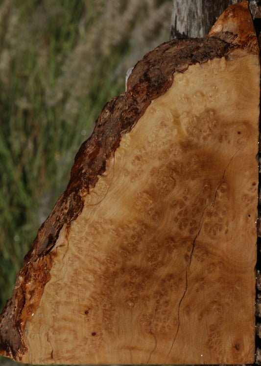 Kanista Burl Live Edge Lumber