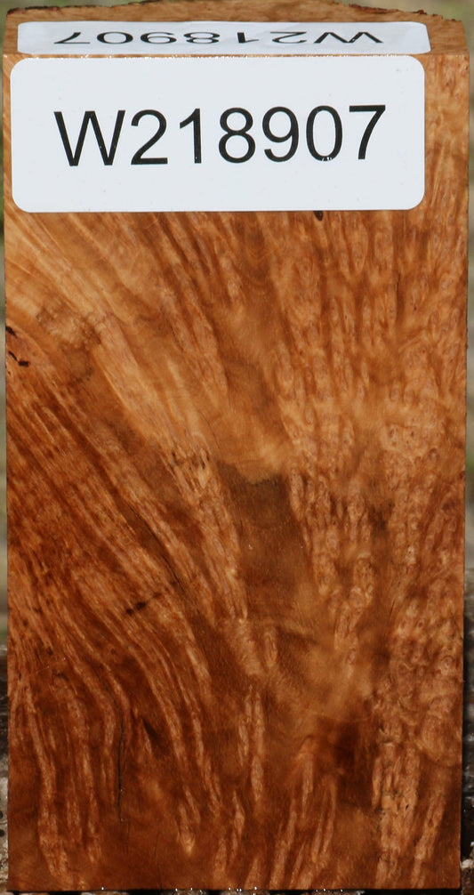 Kanista Burl Turning Blank