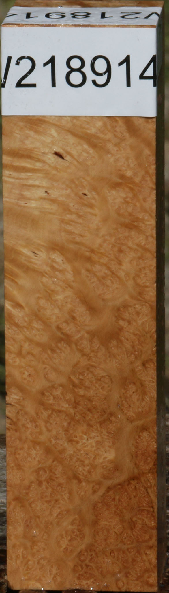 Kanista Burl Turning Blank