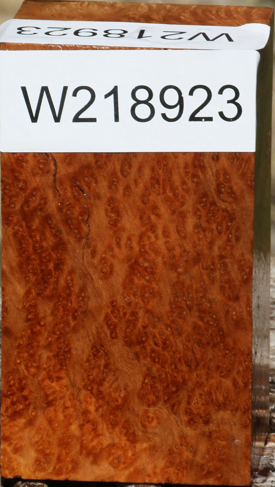 Figured Kanista Burl Turning Blank