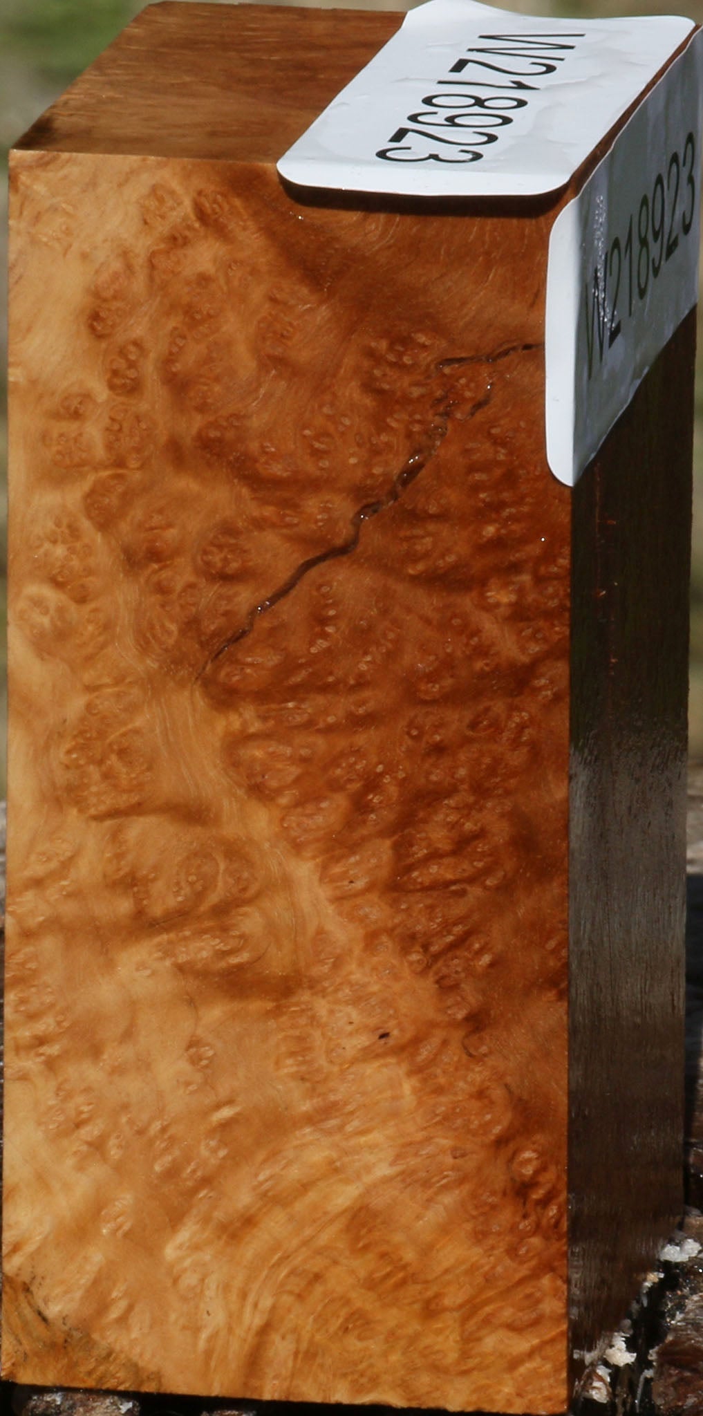 Figured Kanista Burl Turning Blank