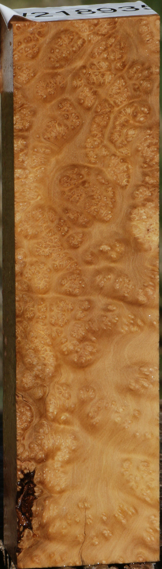 Kanista Burl Turning Blank