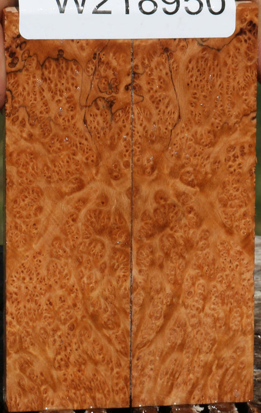 Figured Kanista Burl Knife Scales