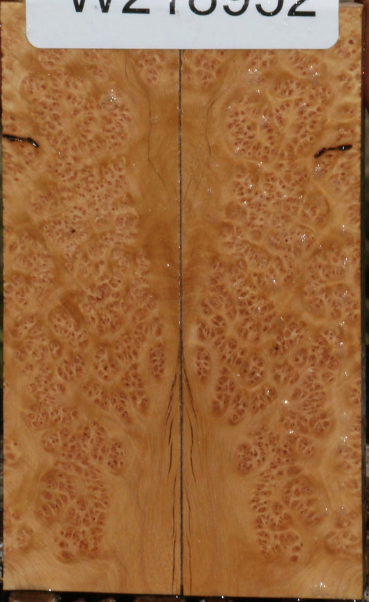 Figured Kanista Burl Knife Scales