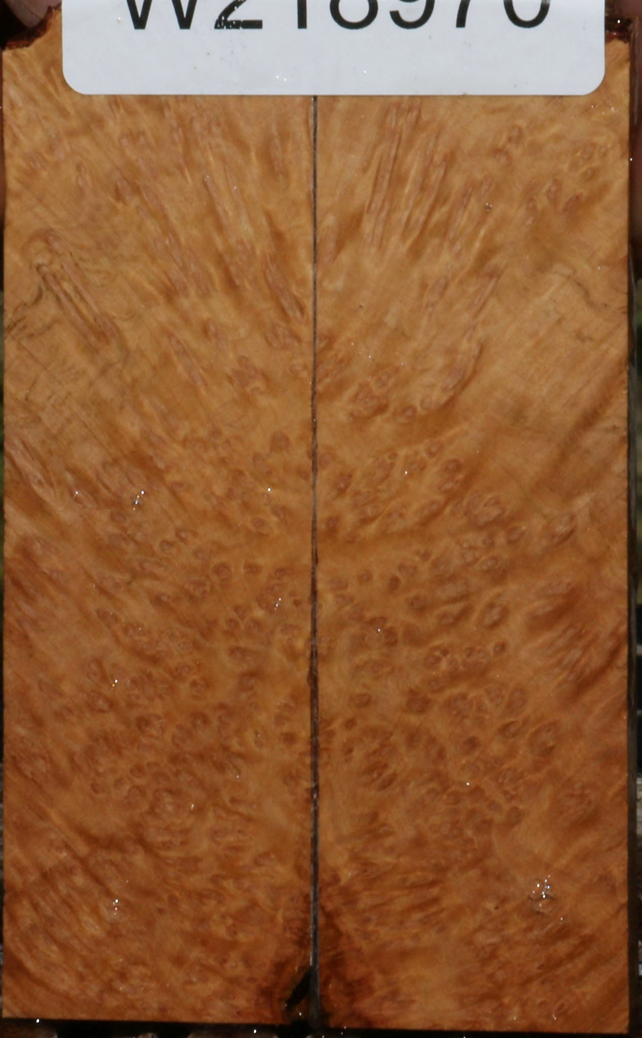 Figured Kanista Burl Knife Scales