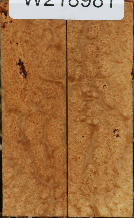 Figured Kanista Burl Knife Scales